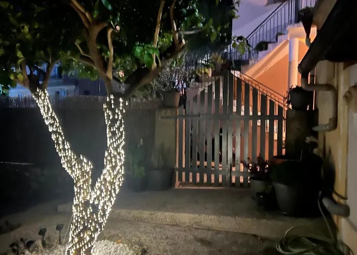 The Lemon Garden *