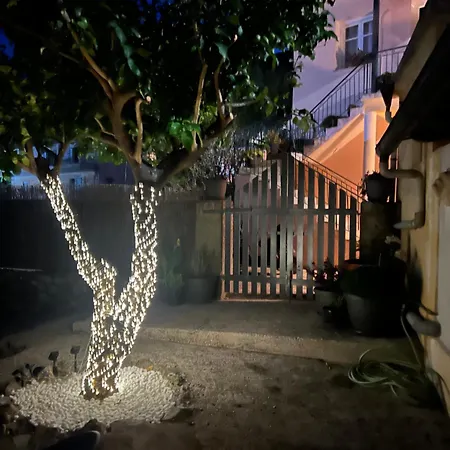 The Lemon Garden *