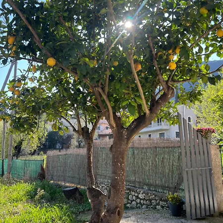 The Lemon Garden Holiday home Doukades